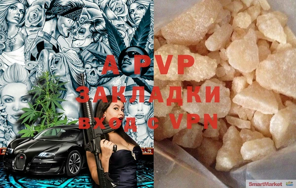 стафф Гусев