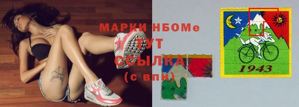 стафф Гусев