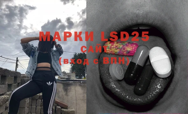 шишки Дмитриев