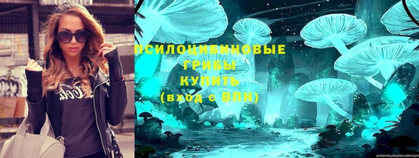 хмурый Дмитров