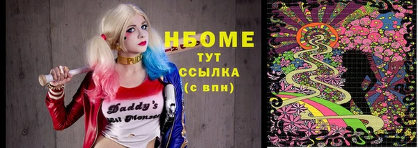 PSILOCYBIN Гусь-Хрустальный