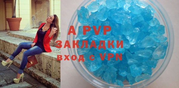 шишки Дмитриев