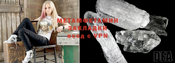 шишки Дмитриев