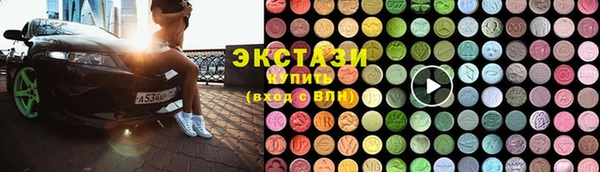 стафф Гусев