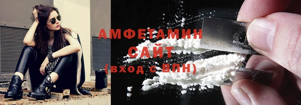 стафф Гусев