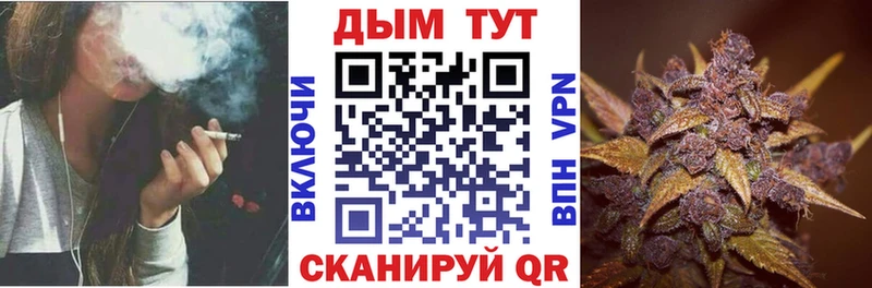 купить наркоту  Волгодонск  Канабис сатива 